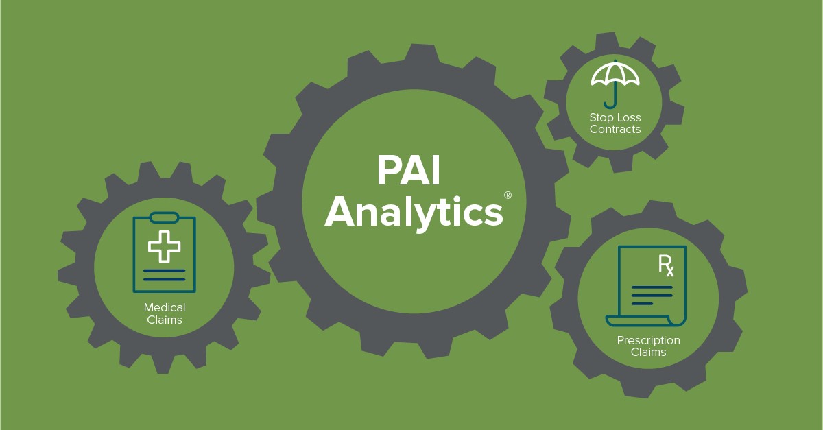 PAI Analytics Image